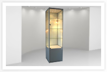 Vitrina para Tienda